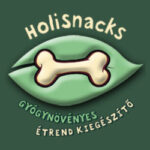 holisnacks-logo